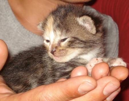 Notre futur enfant !!!!!