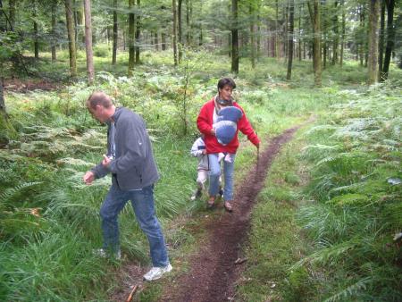 Promenade dans les fôrets vosgiennes