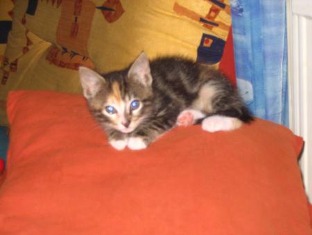 Bienvenue à notre Choupette