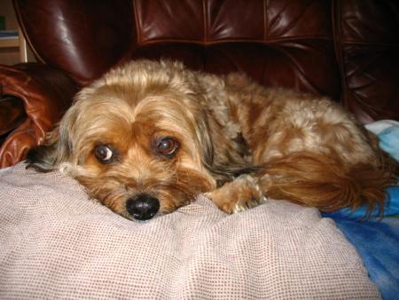 Charly